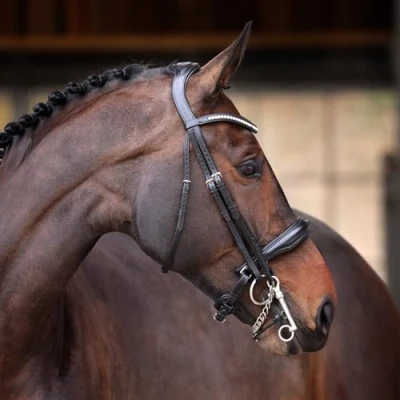 Image of Shires Velociti Lusso Elite Double Bridle Black Extra Full
