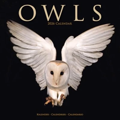Image of Owls Calendar 2026