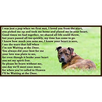 Image of Staffordshire Bull Terrier Brindle Staffy bereavement pet dog loss Flexible Fridge Magnet Waiting at the Door