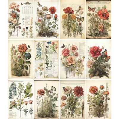 Image of Botanical Pages Rice Paper, 20 x 26,6cm (6pc) 6 Designs for Scrapbooking Cards Crafts, Decoupage by CRAFT KREATIVELY