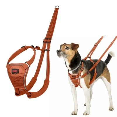 Image of HALTI No Pull Anti Harness Prevents Your Dog from Pulling on the Lead, Padded Chest and Leg Strap, Reflective Strap Material, Easy Adjustment Use (S, Dark Orange)