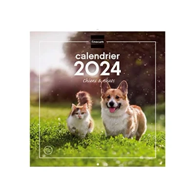 Image of Finocam Wall pictures calendar 30x30 for note 2024 January December (12 months) French dogs and cats