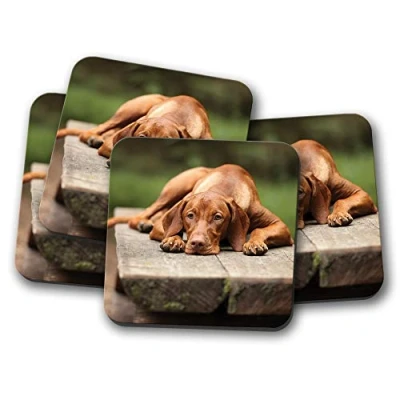 Image of 4 Set Cute Vizsla Dog Coaster Dogs Puppy Lab Animal Pets Mum Fun #16941