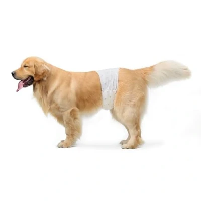Image of Amazon Basics Male Dog Wrap, Disposable Nappies L, Pack of 50, White