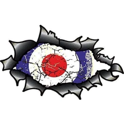 Image of OVAL RIPPED OPEN TORN CARBON FIBER FIBRE Effect Design With Distressed Retro MOD Style RAF Target Motif Vinyl Car Sticker 150x90mm