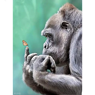 Image of Diamond Painting Kits DIY 5D Full Drill Crystal Rhinestone Pictures Embroidery Arts Craft Cross Stitch for Home Wall Gorilla and butterfly 30x40cm A893