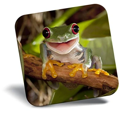 Image of Destination Vinyl ltd Fridge Magnet Smiling Green Frog 14182
