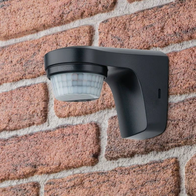 Image of Theben theLuxa S180 PIR motion sensor black