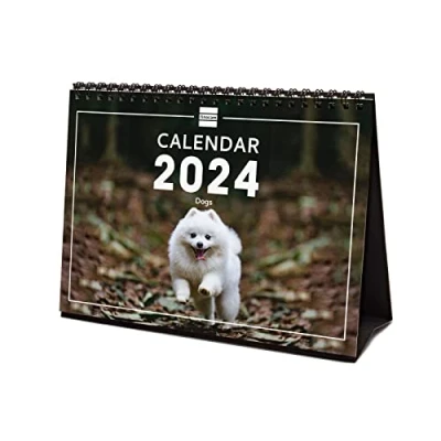 Image of Finocam Dogs International Desktop Photo Calendar 2024 January December (12 months)