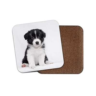 Image of 1 x Border Collie Puppy Coaster Dog Puppies Cute Adorable Farm Pets #15372