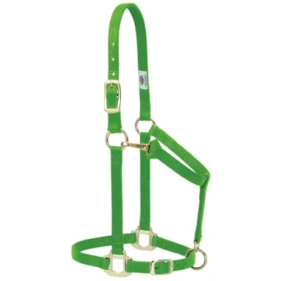 Image of Weaver Leather Original Adjustable Nylon Horse Halter, Average Horse, Lime