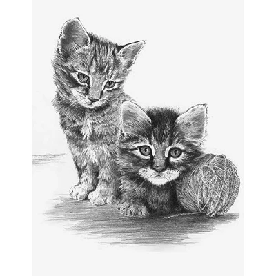 Image of Royal &amp; Langnickel SKTCH Made Easy Kittens with B