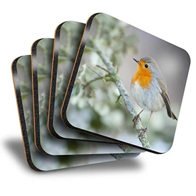Image of Destination Vinyl ltd Great Coasters (Set of 4) Square Cute Winter Red Robin Bird Garden Drink Glossy Coasters/Tabletop Protection for Any Table Type #24115
