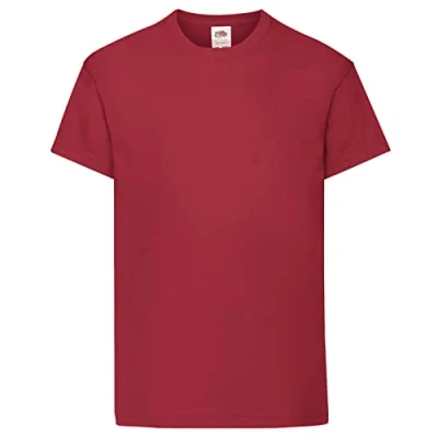 Image of Fruit of the Loom Childrens/Kids Original Short Sleeve T Shirt (9 11 Years) (Brick Red)