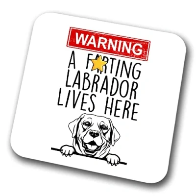 Image of Labrador Warning A Lives Here Mum Dad Coaster Dog Friend Funny Gift for Birthday Christmas,