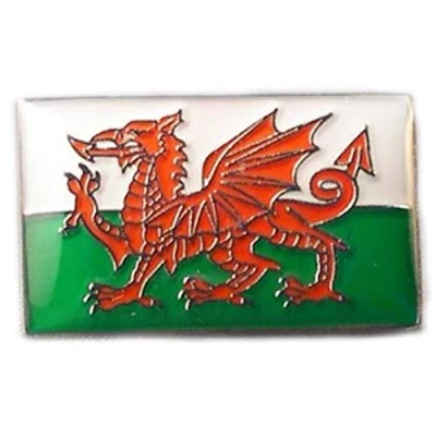 Image of Metal Enamel Pin Badge Wales Dragon Welsh Flag Saint David Baner Cymru