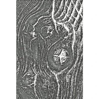 Image of Sizzix 3 D Texture Fades Embossing Folder Woodgrain by Tim Holtz 666297 Scrapbooking, Cardmaking, Journalling, One Size