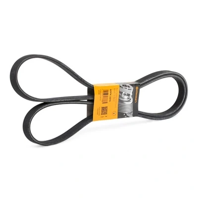 Image of 0029934396, 0039933396, A0029934396, A0039933396 V ribbed belt CONTITECH 6DPK2215 2215mm 6 MERCEDES BENZ: Vito Mixto, Sprinter 3.5 T Van, Minibus