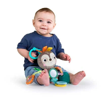 Image of Bright Starts Playful Pals Activity Toy Sloth