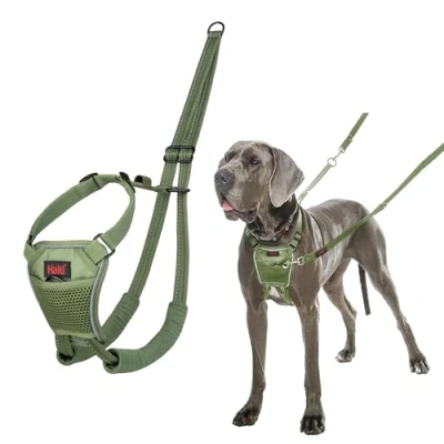 Image of HALTI No Pull Harness to Stop Your Dog Pulling on the Leash. Adjustable, Lightweight and Easy Use. Reflective Training for Large Dogs (Size L, Forest Green)