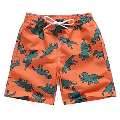 Image of FedMois Boys Swimming Trunks Quick Dry Beach Shorts Boardshorts, Dinosaurs, 7 8 Years