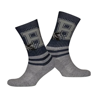 Image of Harry Potter Ravenclaw Striped Adults Socks