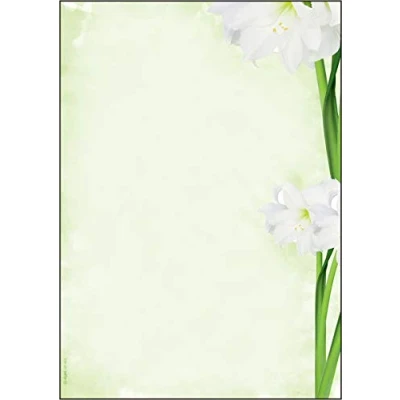 Image of SIGEL DP463 Writing paper &quot;Amaryllis&quot;, A4, 90 gsm, 25 sheets