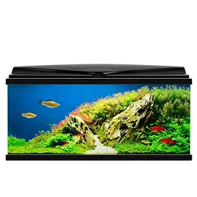 Image of Ciano BLACK Aqua 80 LED Tropical Glass Aquarium Includes Filter, Lights
