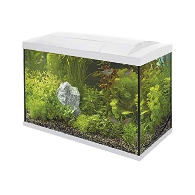 Image of Superfish Start 70 Aquarium White