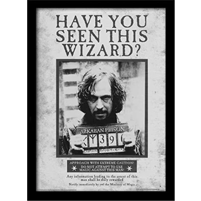 Image of Harry Potter Sirius Wanted Framed Print