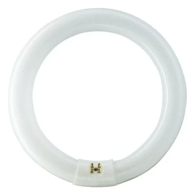 Image of Philips G10q 32W 865 fluorescent ring Master Circular TL E