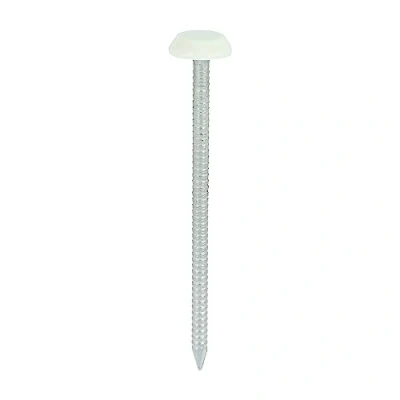 Image of Timco Polymer Headed Nails A4 Stainless Steel Cream (Size 65mm 100 Pieces)