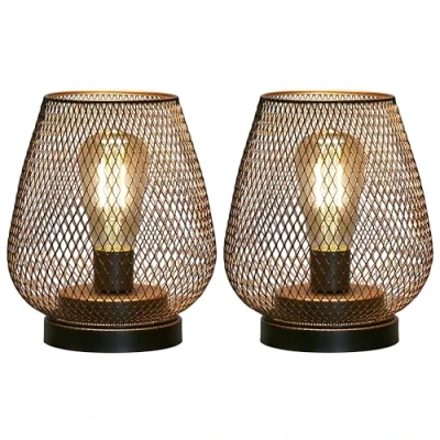 Image of JHY DESIGN Set of 2 Metal Cage Table lamp Battery Powered, Cordless Accent Light with LED Edison Style Bulb for Bedroom Home Weddings Parties Patio Indoors Outdoors Valentine&#039;s Day(Egg Shape)
