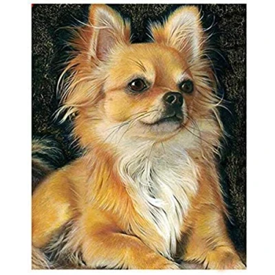 Image of PPTRTYQ Paint by Numbers for Adults Children, Cute pomeranian dog 16x20 Inch Linen Canvas Acrylic DIY Number Painting Kits Wall Art Decor Gifts (Without Frame)