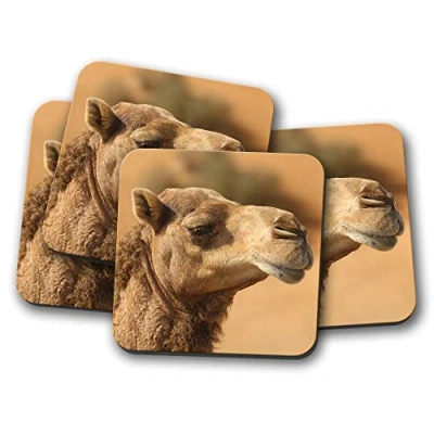 Image of 4 Set Amazing Camel Coaster Desert Egypt Animal Grumpy Travel Fun #8752