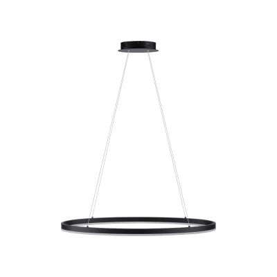 Image of Paul Neuhaus Titus LED pendant light, oval 80x39cm