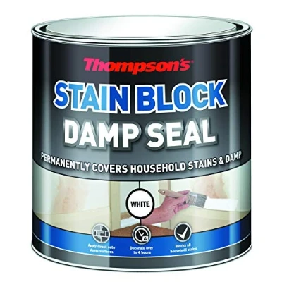 Image of Ronseal Thompson&#039;s Stain Block Damp Seal 2.5 litre RSLTDS25L