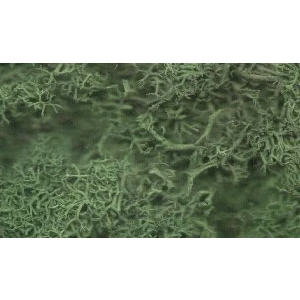 Image of Scenic Lichen, Dark Green , Model Railway / Wargaming, Javis