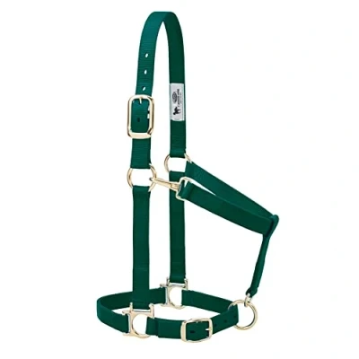 Image of Weaver Leather Basic Adjustable Nylon Halter, Hunter Green, 1&quot; Average Horse