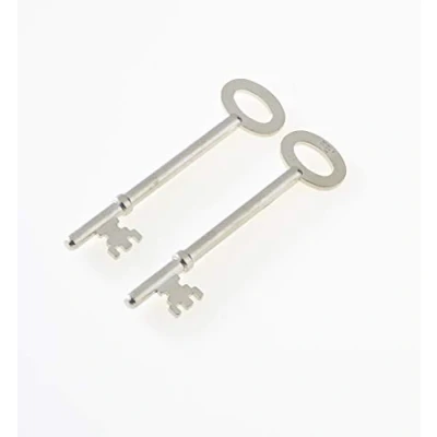 Image of FB1 Key Genuine Original Fire Brigade Mortice Lock Keys, Pack of 2 (2)