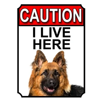 Image of Shawprint CAUTION I LIVE HERE METAL GATE SIGN GERMAN SHEPHERD THEME 200MM X 150MM (1400H1)