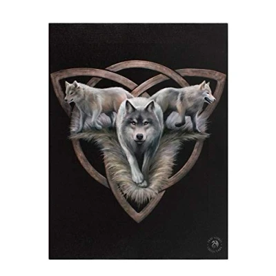 Image of Something Different Canvas Plaque Wall Trio by Anne Stokes H25cm X W19cm D1.5cm Pack of 1