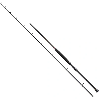 Image of Penn Regiment III Braid Boat rod 2.50m 20 30lb Sea fishing