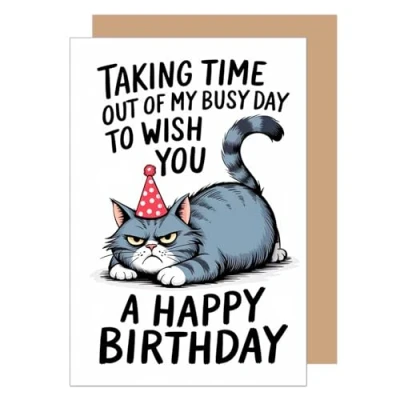 Image of Edition Seidel Premium Birthday Card with Envelope. Greeting Funny Saying Man Woman Child Cat (G3640 SW024)