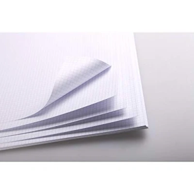 Image of Clairefontaine Ref 93325C Bristol Graduated Sheets (25 Sheets) 50 x 65cm Size, 205gsm Paper, Squared Rulings Suitable for Pencil, Technical Pen, Indian Ink, Felt Nibs