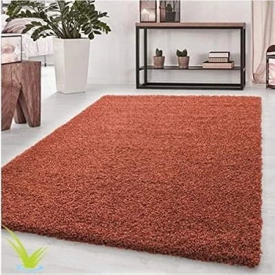 Image of Wadan 80x150cm Terracotta Shaggy Rugs Living Room 5mm Thick Pile Extra Large Small Medium Rectangular Size Soft Touch Area Non Shedding