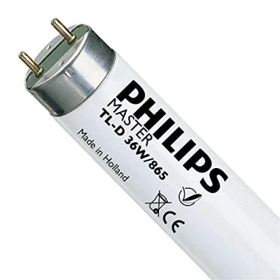 Image of Best Price Square LAMP, T8, 1200MM, 36W, 6500K 63207440 By PHILIPS