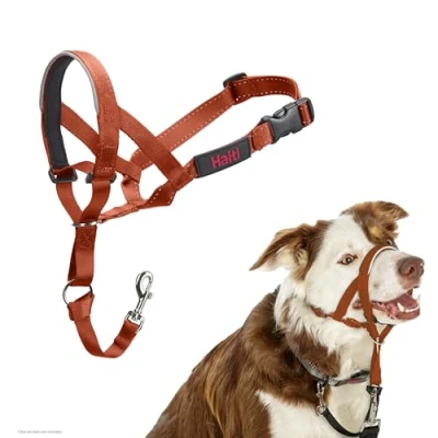 Image of HALTI Headcollar To Stop Your Dog Pulling on the Lead. Adjustable, Reflective and Lightweight, with Padded Nose Band. Training Anti Pull Collar for Medium Dogs (Size 2, Burnt Orange)