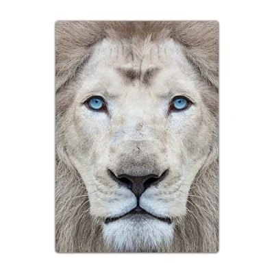 Image of Passport Holder Cover, PU Leather Travel Wallet Case Organiser for Passport, Business Cards, Credit Boarding Passes (Grey Lion)