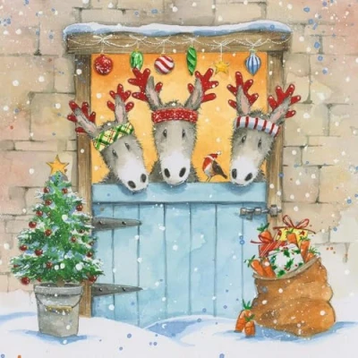 Image of GBCC Charity Christmas Cards Pack of 6 with Festive Donkey Stable Design Eco Friendly Xmas Multipack Envelopes
